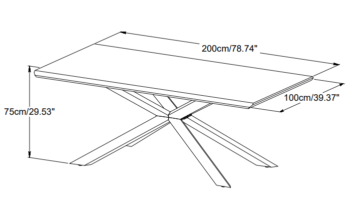 Rainier Glass Coffee Table 51 x 27.5 Inches