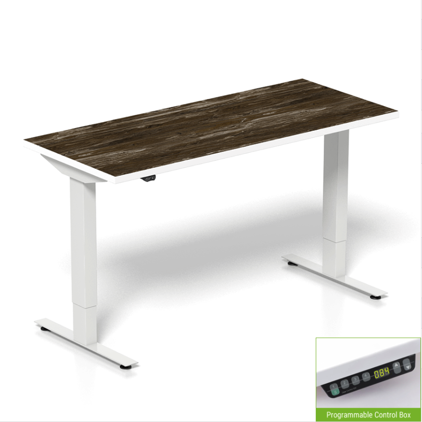 TableUp Standing Desk 2 Leg Base Programmable Controller