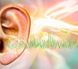 Ringing in the Ear