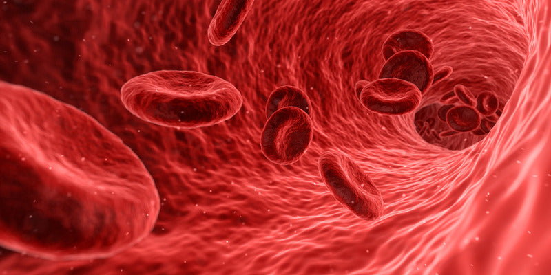 Some factors that can cause blood clots and how to prevent it