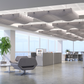 Echodeco Acoustic Ceiling Baffles 3/8" Thickness 72"W x 60"D