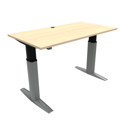 Conset Quality Ergonomics Electric Standing Desk 501-23