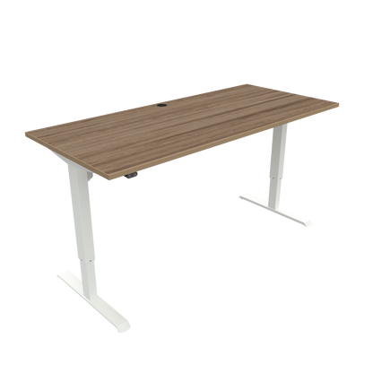 Conset Electric Standing Desk 2 Leg Stylish  501-33