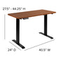 Tanner Electric Height Adjustable Desk 48x24