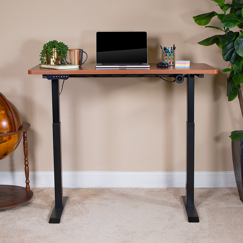 Tanner Electric Height Adjustable Desk 48x24