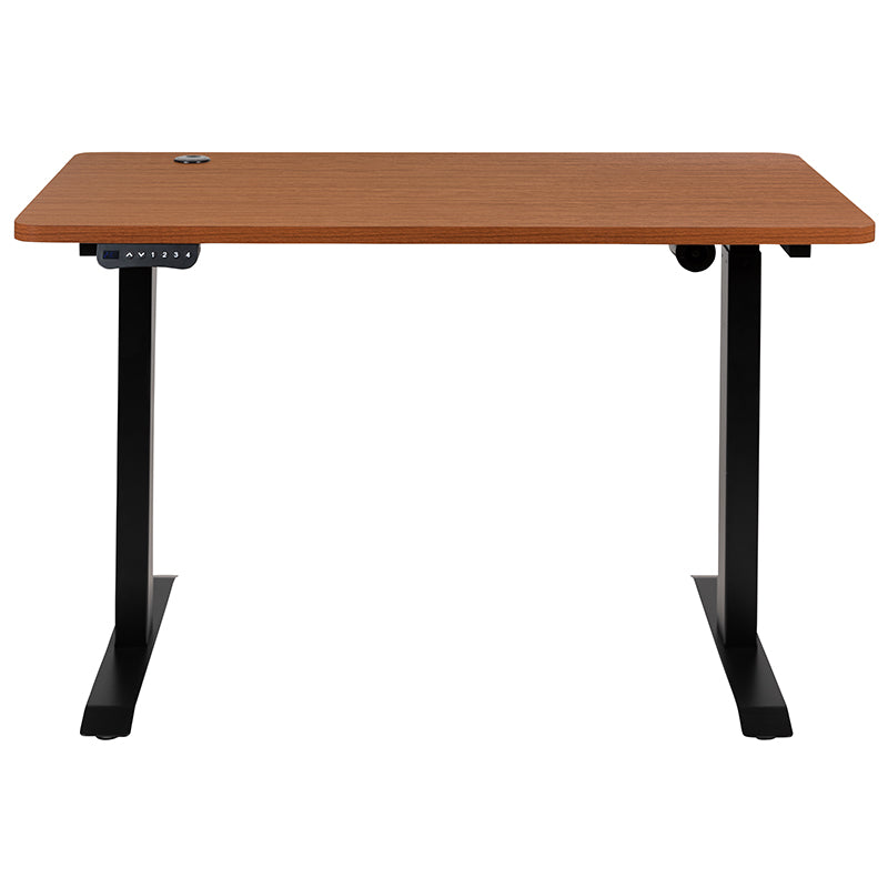 Tanner Electric Height Adjustable Desk 48x24