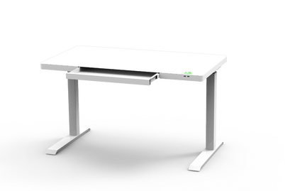 Smart  Electric Standing Desk Glass Top 47” Black and White